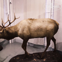 фото из отзыва ID 2653548