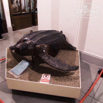 фото из отзыва ID 2653548