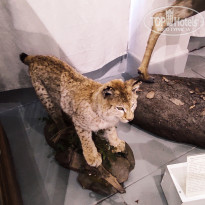 фото из отзыва ID 2653548