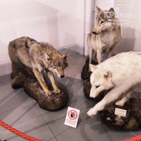 фото из отзыва ID 2653548