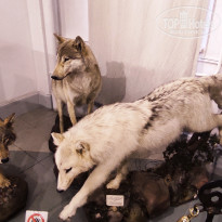 фото из отзыва ID 2653548