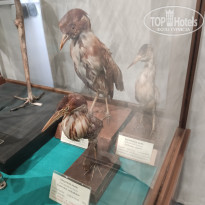 фото из отзыва ID 2653548