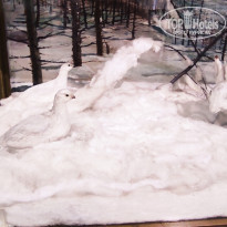 фото из отзыва ID 2653548