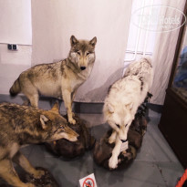 фото из отзыва ID 2653548