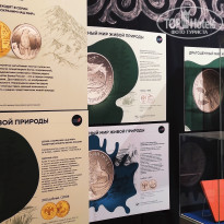 фото из отзыва ID 2653548