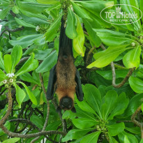 фото из отзыва ID 2651480