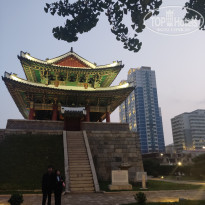 фото из отзыва ID 2653672