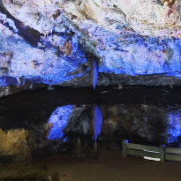 фото из отзыва ID 2653672