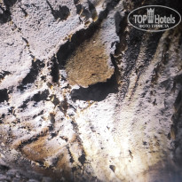 фото из отзыва ID 2653672