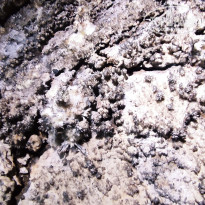 фото из отзыва ID 2653672