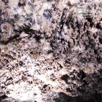 фото из отзыва ID 2653672