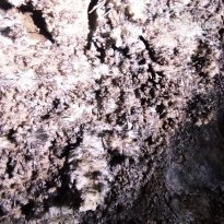 фото из отзыва ID 2653672