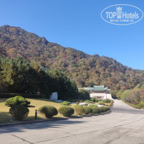 фото из отзыва ID 2653672