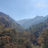 фото из отзыва ID 2653672