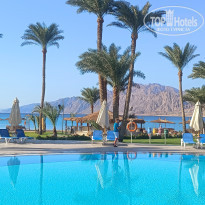 фото из отзыва ID 2653681