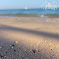 фото из отзыва ID 2653732