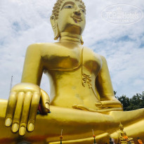 фото из отзыва ID 2653737