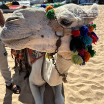 фото из отзыва ID 2653748