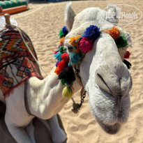 фото из отзыва ID 2653748