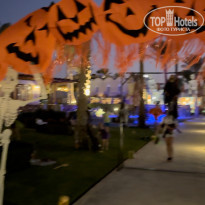 фото из отзыва ID 2653766