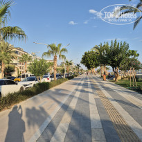 фото из отзыва ID 2653801