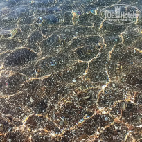 фото из отзыва ID 2653945