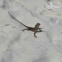 фото из отзыва ID 2654072