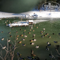 фото из отзыва ID 2654080