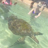 фото из отзыва ID 2654126