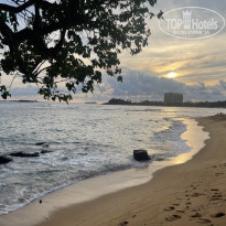 фото из отзыва ID 2654126