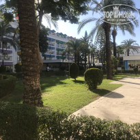 фото из отзыва ID 2653876