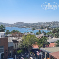 фото из отзыва ID 2650260