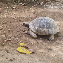 фото из отзыва ID 2650260