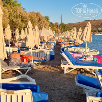 фото из отзыва ID 2650260