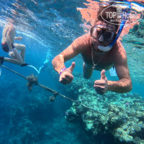 фото из отзыва ID 2654166