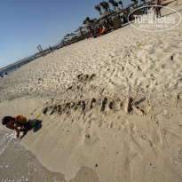 фото из отзыва ID 2654166