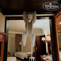 фото из отзыва ID 2654191