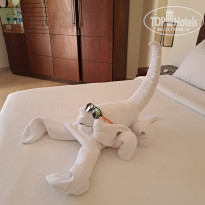 фото из отзыва ID 2654191