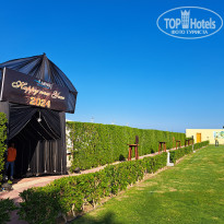 фото из отзыва ID 2654191