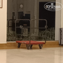 фото из отзыва ID 2654203