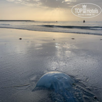 фото из отзыва ID 2654252