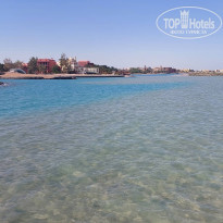 фото из отзыва ID 2654290