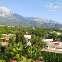 фото из отзыва ID 2652005