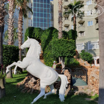 фото из отзыва ID 2652005