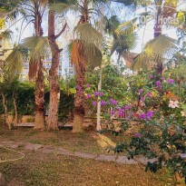 фото из отзыва ID 2654310