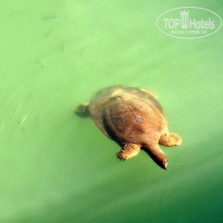 фото из отзыва ID 2653210