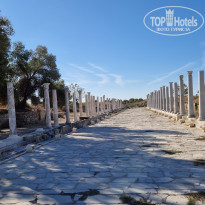 фото из отзыва ID 2653210