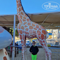 фото из отзыва ID 2653210