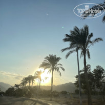 фото из отзыва ID 2654431