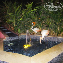 фото из отзыва ID 2654456